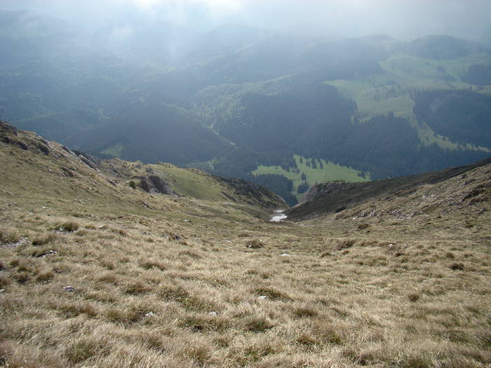 DSC03210 - Piatra Craiului MAI
