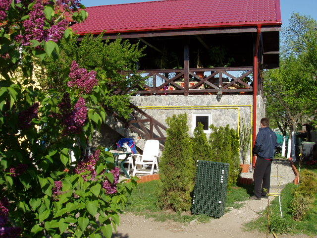 liliac si tuya; liliac si tuya
