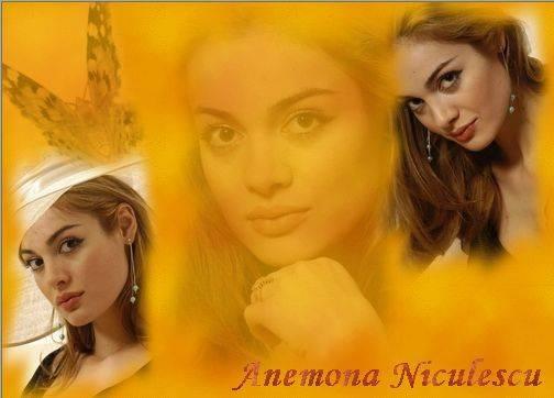 d5 - Anemona  Niculescu