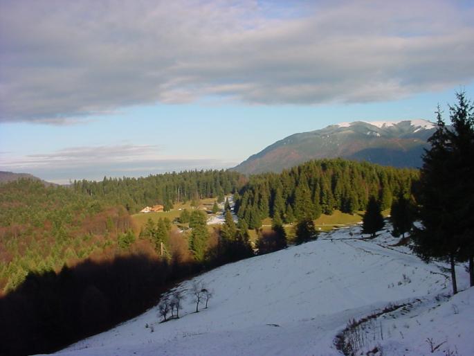 DSC04065