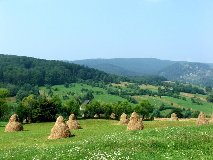 DSCF2213 - peisaje_Bucovina