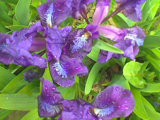 Imag021