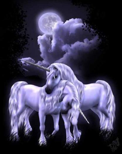unicorns-6