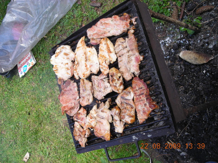 DSCN9336 - Sinaia 23 08 2009