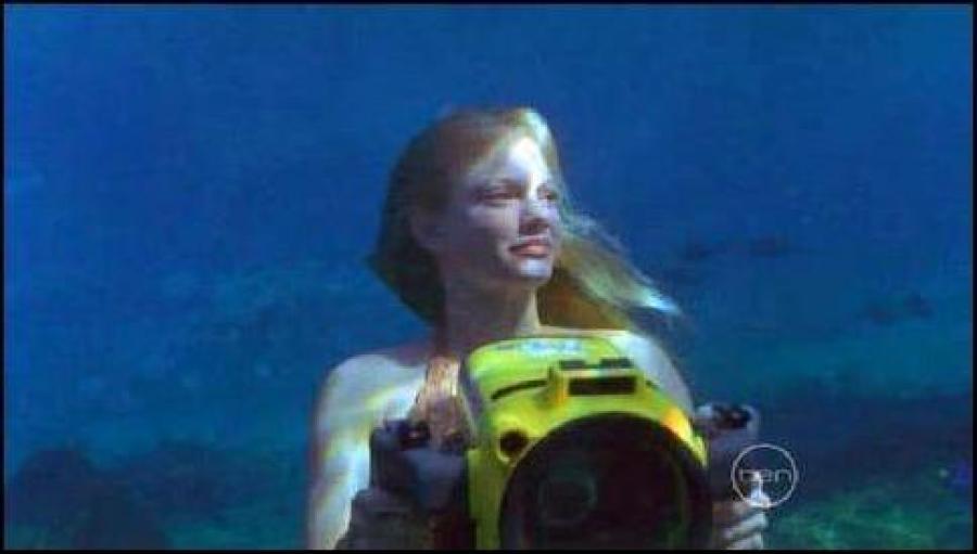 MTDACLDWQCCNELYXVFL[1] - cariba heine