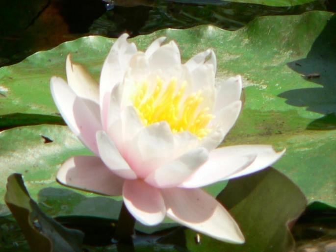 P100069