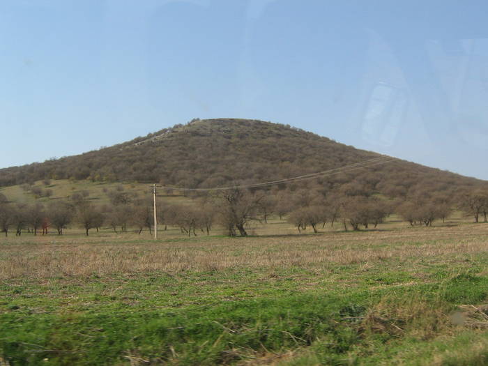  - natura