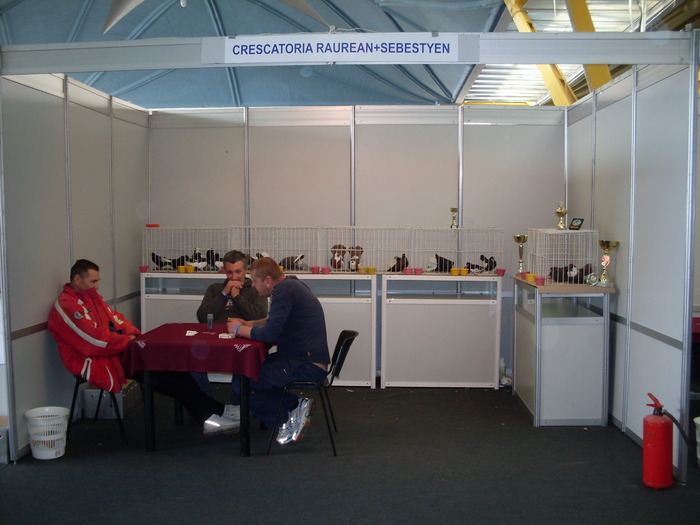 SDC10575 - S -Expo Cluj 24-25 Octombrie