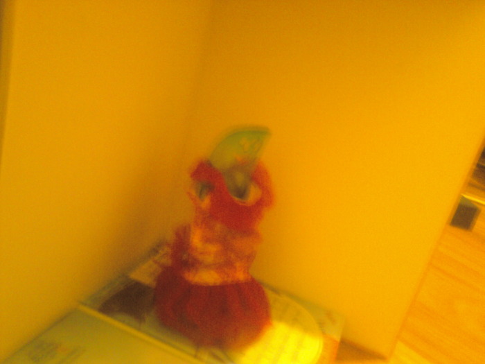 Fotografii-0861 - Vedete Americane