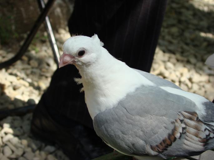 DSC00629