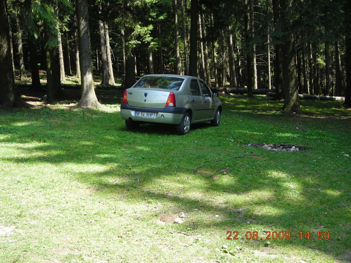 DSCN9375 - Sinaia 23 08 2009