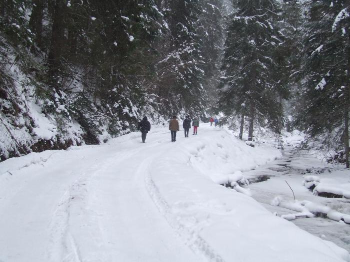 DSCF4612 - poiana zinelor