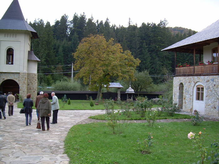 B6 - Excursie Baltatesti 2008