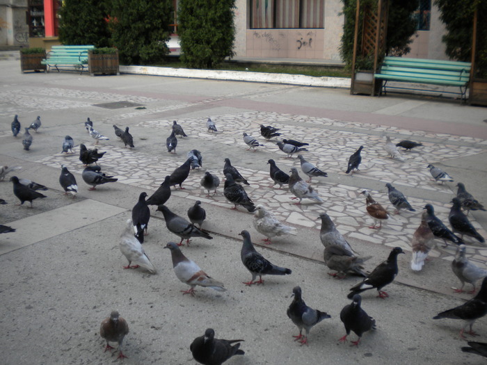 DSCN0111 - 18f Targoviste