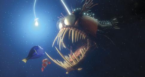 Finding-Nemo-in cautarea lui nemo - Jetix_Disney Chanell