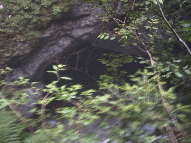 AAAA0517