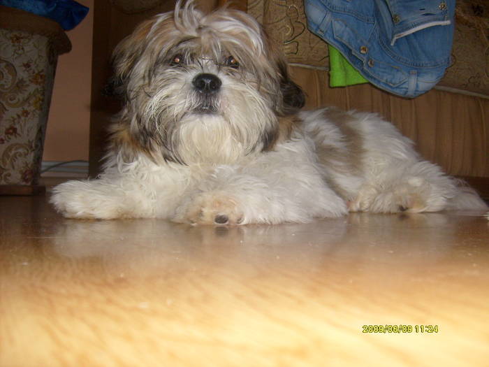 S6304420 - poze 2010 buzau