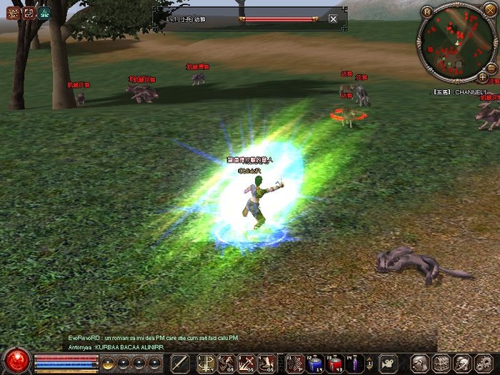 1214_113150 - metin 35 pserver poze noi