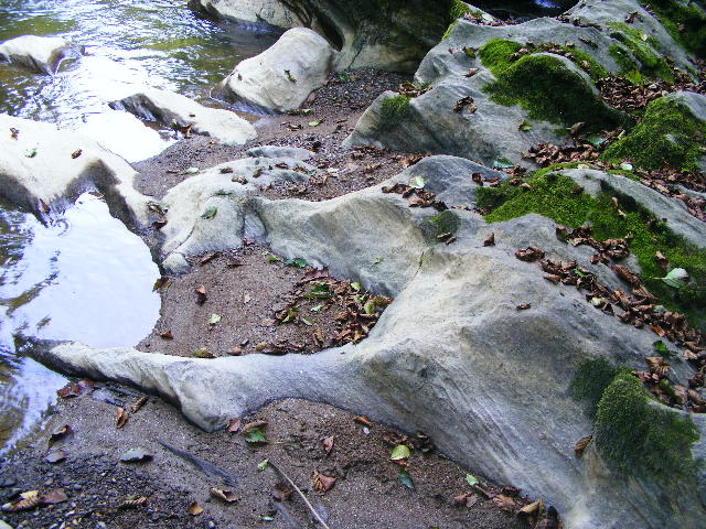 DSCF5156