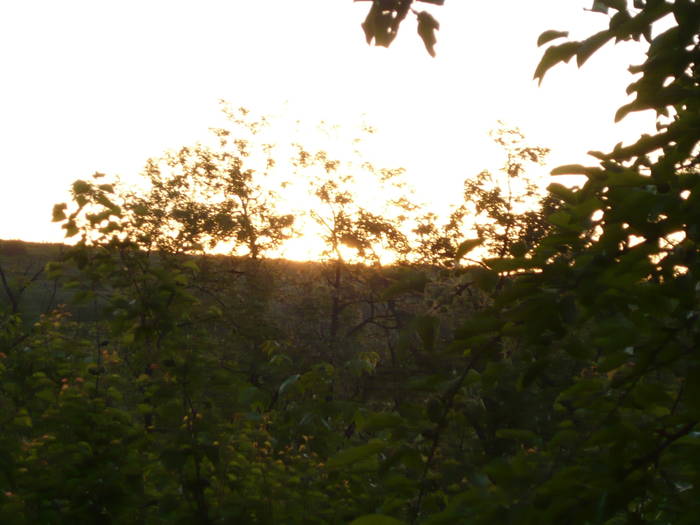 Rasarit de soare Ticau