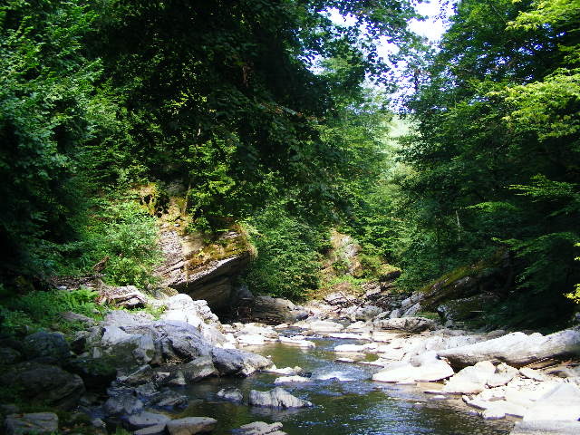 DSCF5202