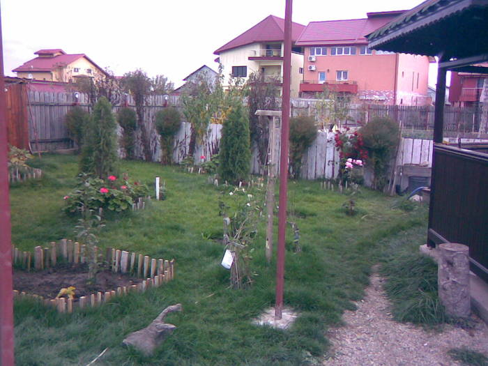 08112008(013) - curtea si gradina