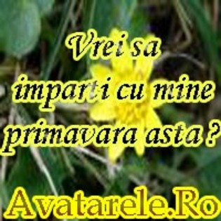 60 - poze avatar primavara