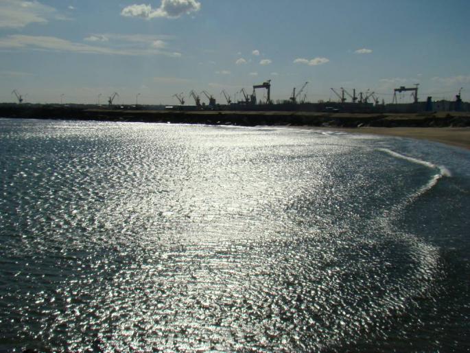 DSC02539 - 2008-03-02 - La Marea Neagra