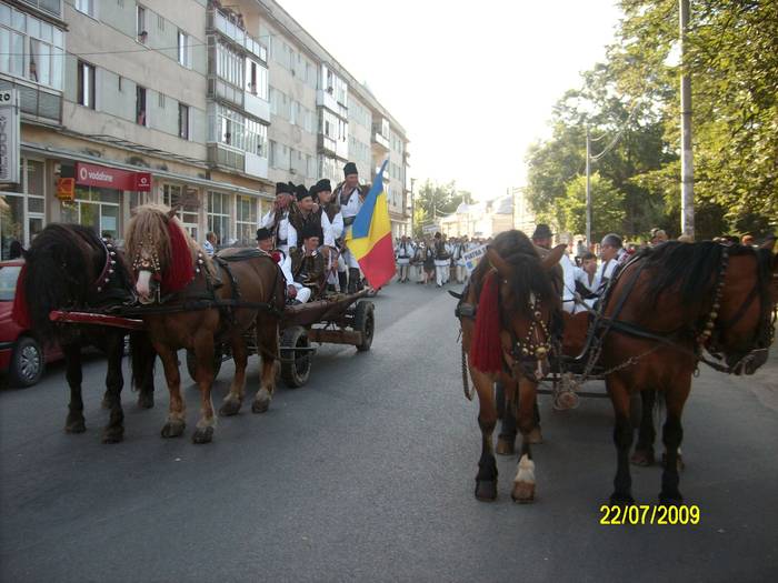 SANY0014 - intalniri bucovinene-parada cailor 2009 Campulung moldovenesc