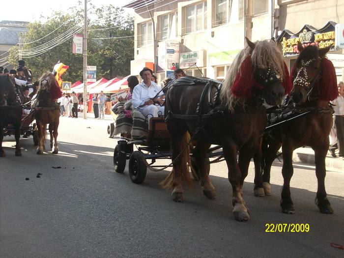 SANY0017 - intalniri bucovinene-parada cailor 2009 Campulung moldovenesc