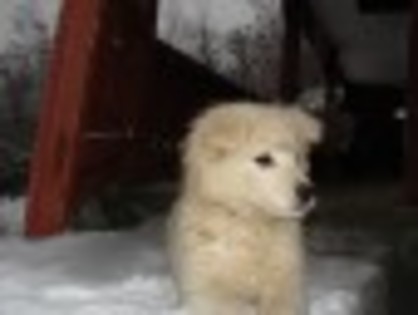 c4ecd4733b5ebbff22aa1f4a8cbe057d[1]