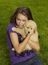 MQLBNDJMHRRXWSJULJX - aici sunt doar poze cu miley cyrus-hannah montana
