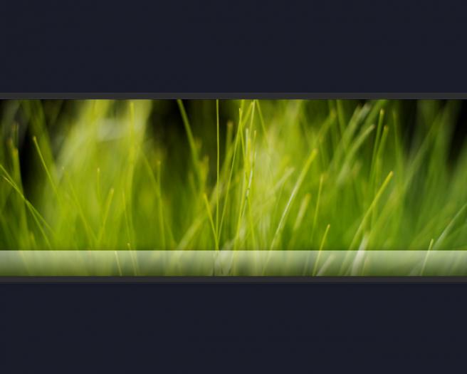 25 - POZE DESKTOP