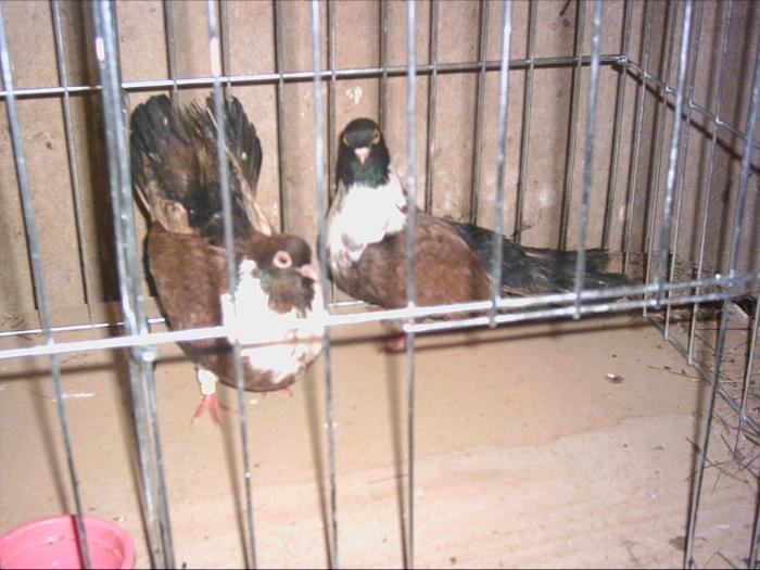 PICT0020