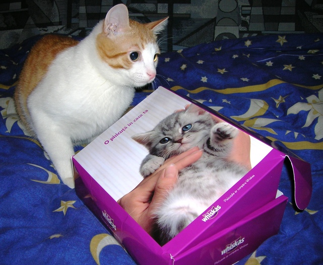 cred ca pe aici se incepe