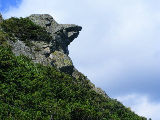 DSCF4404 - 2 august 2009 Traseu Suior Secatura Creasta Cocosului Gutaiul Doamnei  Vf Gutai