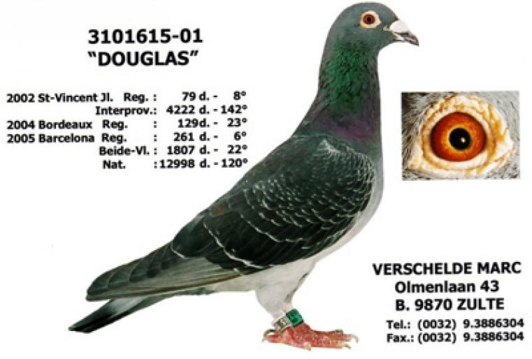 verdouglas - Espt Wifred Stes