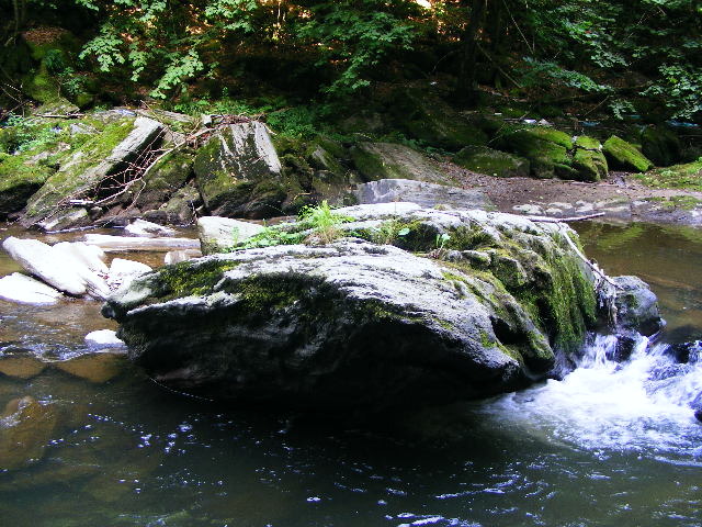 DSCF5108