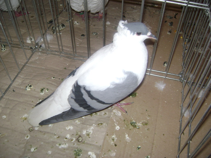 DSC08095
