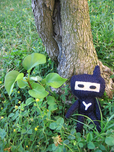 925119536_bec4684e96 - Tamagotchi