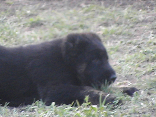 poze 04.05.2009 117