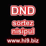 dnd%20sortez%20nisipul