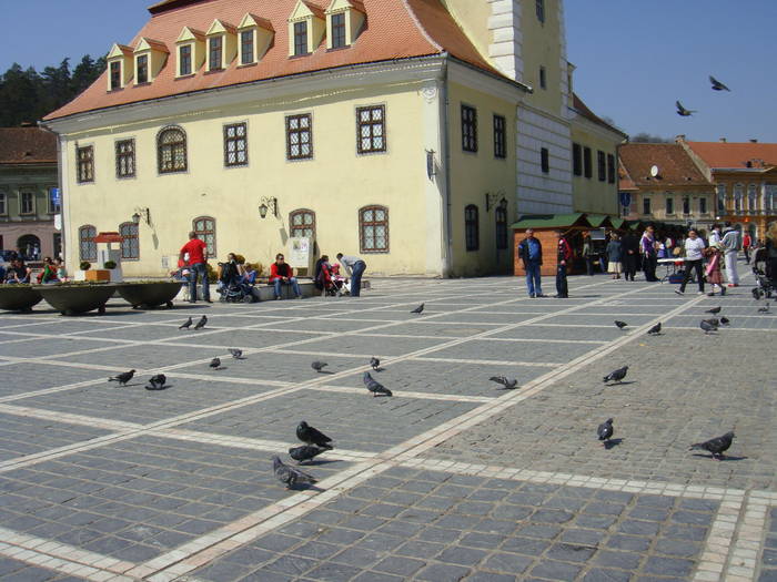 238 - brasov cheia