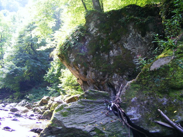 DSCF5205