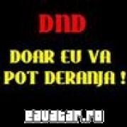 eAvatar.ro_bb9902de573f452e46a1d4bc66d3eb288DND DOAR EU VA POT DERANJA (Custom) - Poze haioase