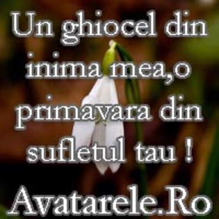 51 - poze avatar primavara
