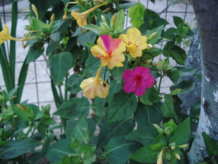DSC09836