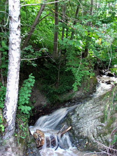 DSCF1560 - peisaje_Bucovina