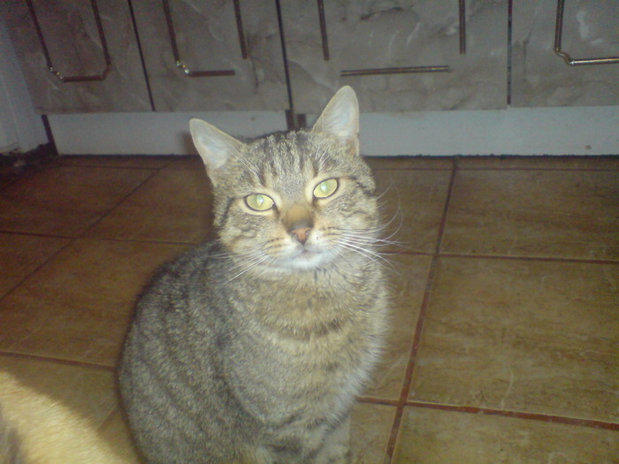 DSC01028