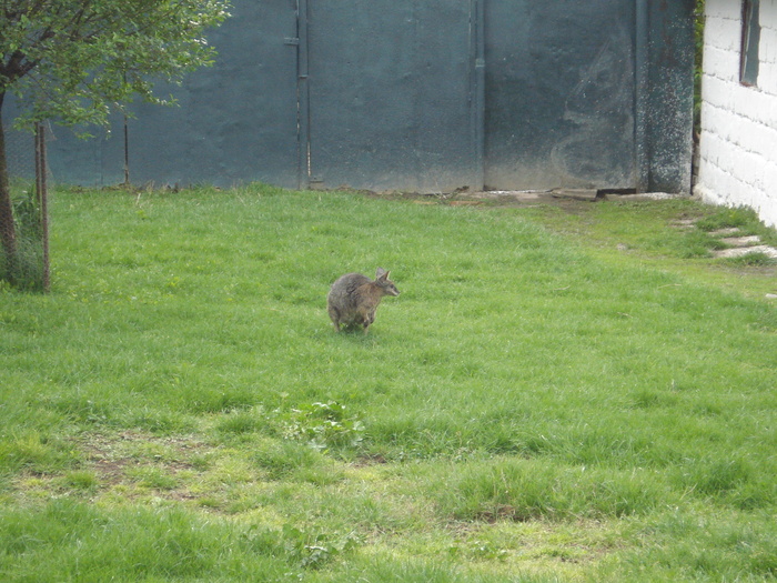 Picture 160